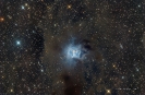 NGC 7023_1
