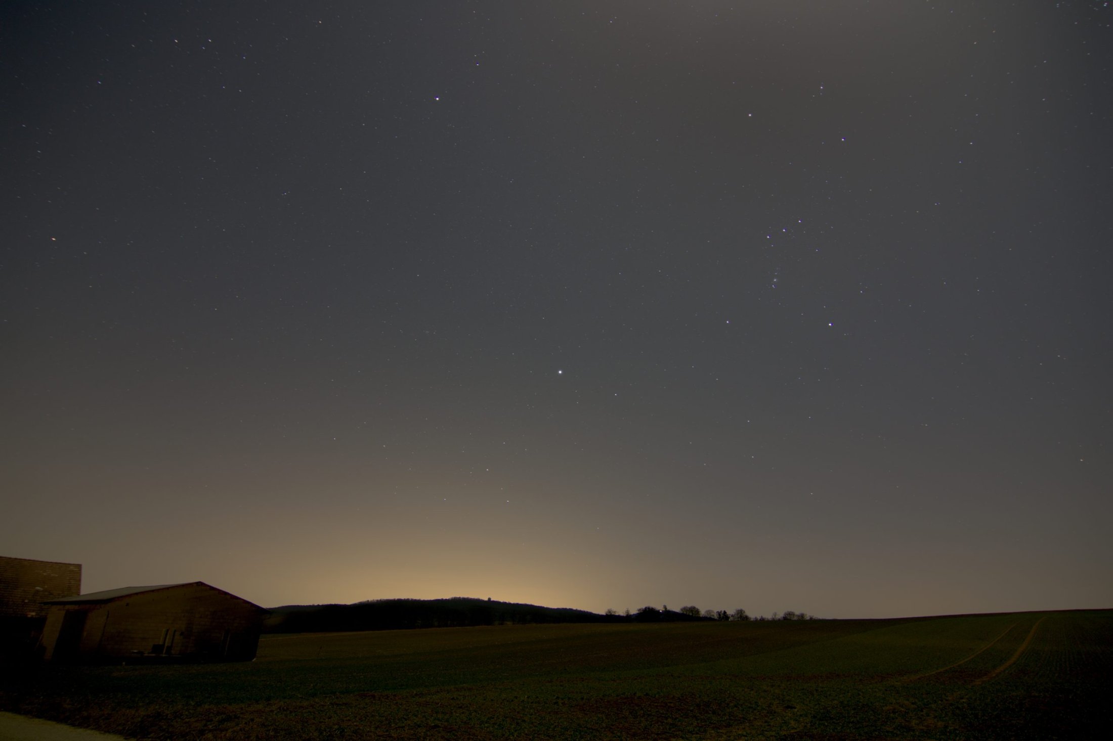 Orion, Großer Hund und Kleiner Hund