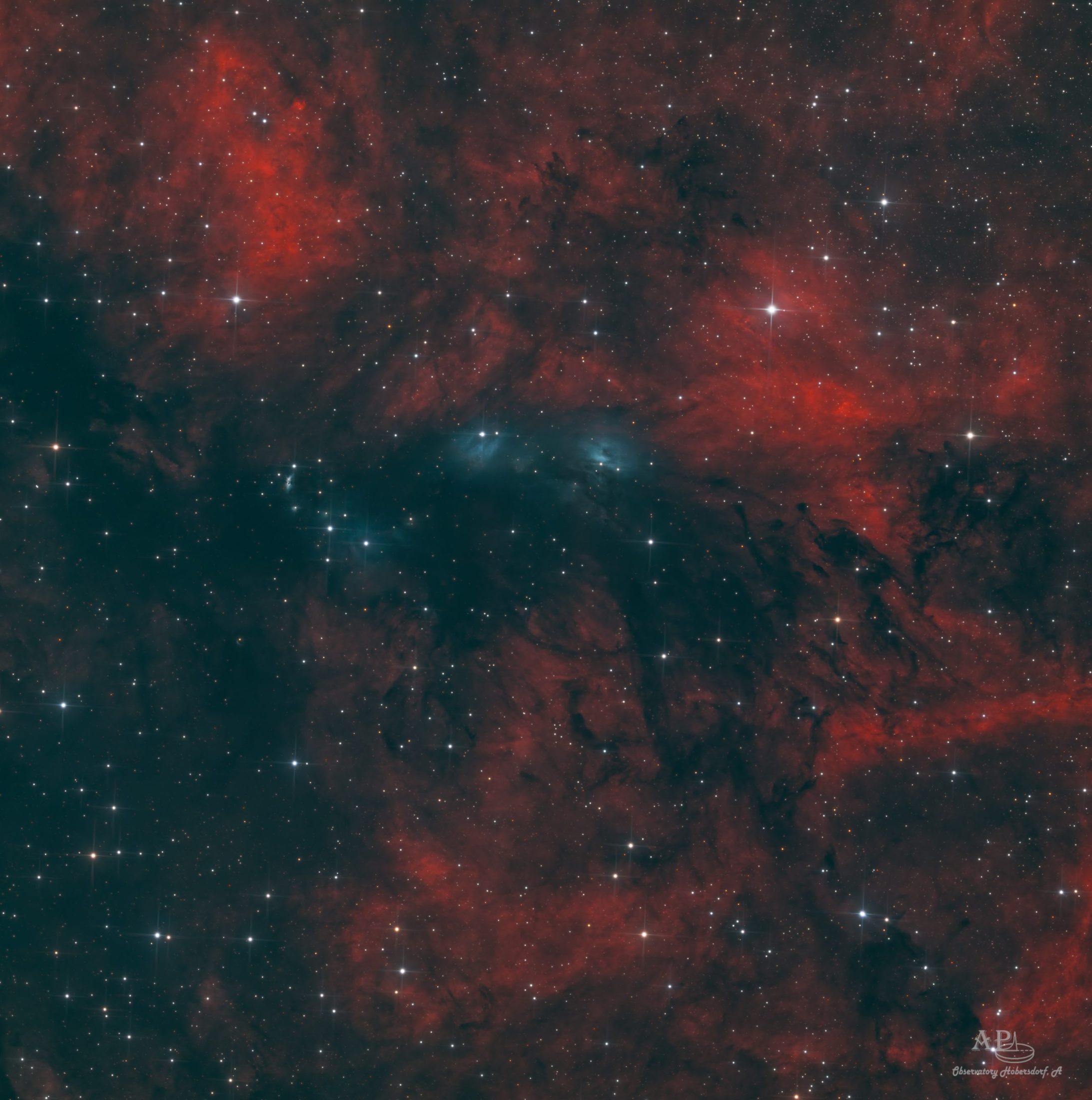 NGC 6914 6" Newton