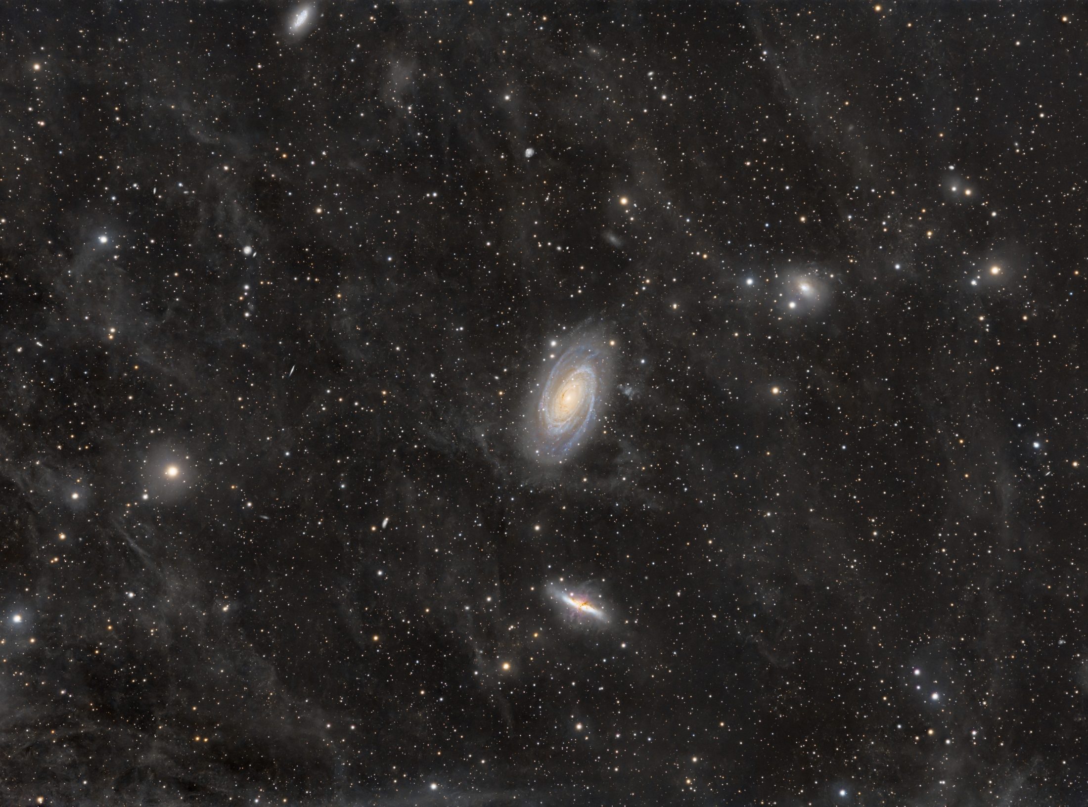 M81 + M82 + IFN